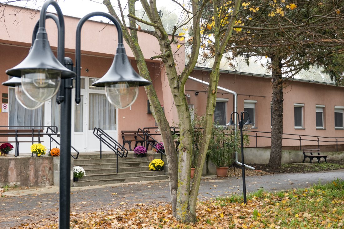 Galéria kép 7